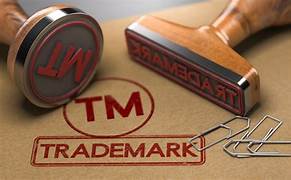 Madrid Protocol International Trademark Registration for Indian Businesses