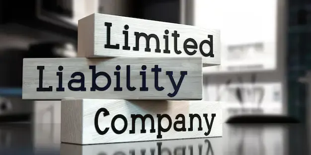 Limited Liability Partnership