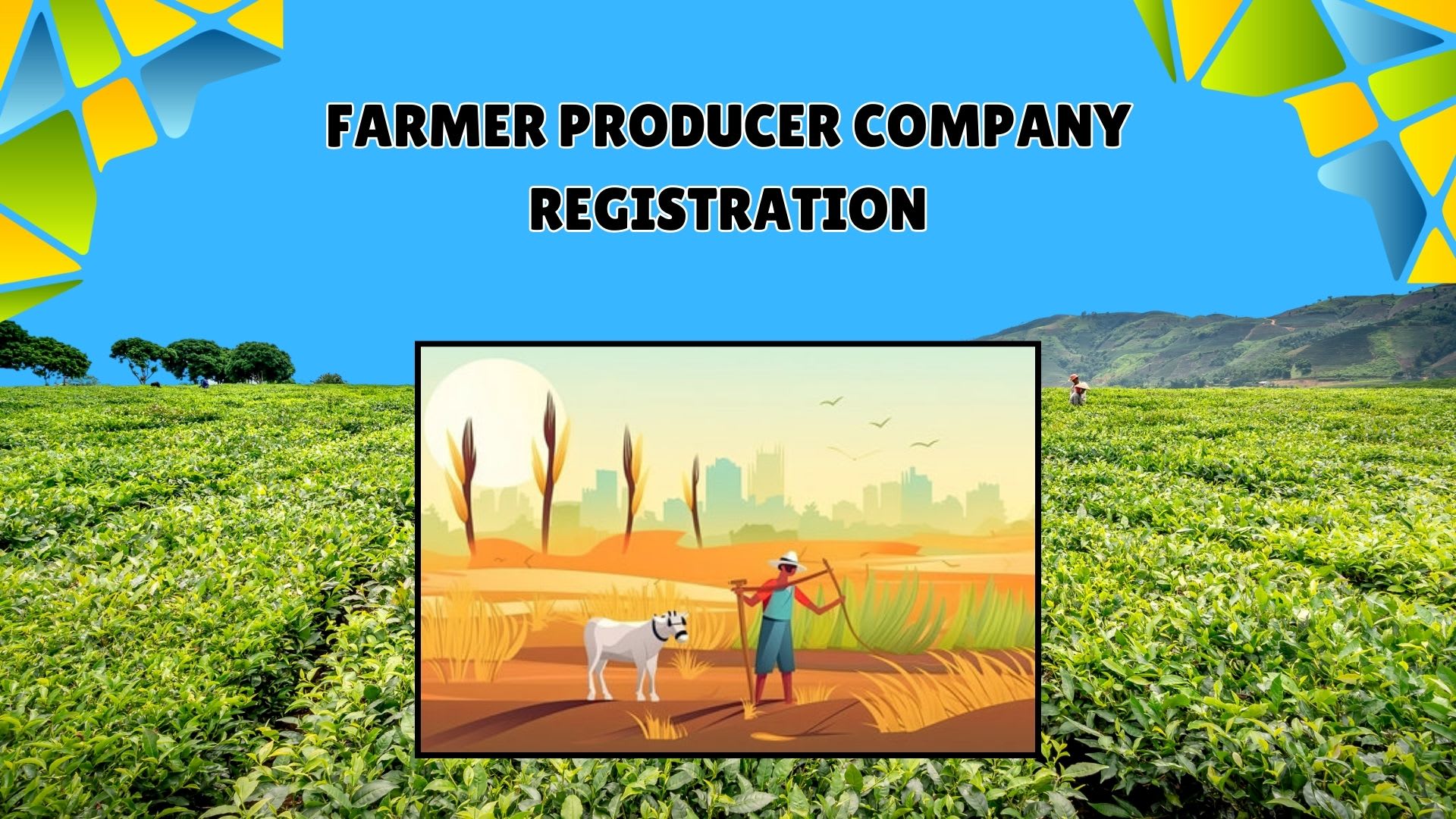 Producer Company